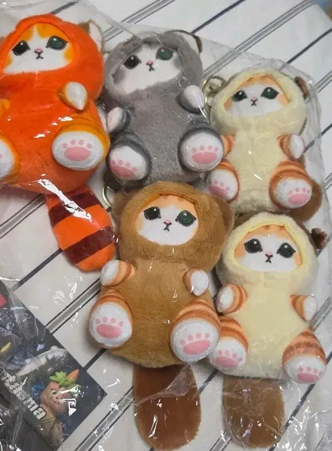 고양이 인형 키링 5개 일괄