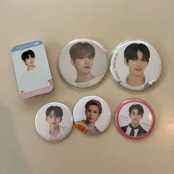 SEVENTEEN JOSHUA 조슈아 캔뱃지 세트
