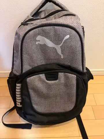 PUMA 백팩 백팩 그레이