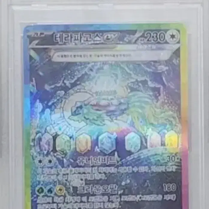 포켓몬 카드 테라파고스 sar psa10
