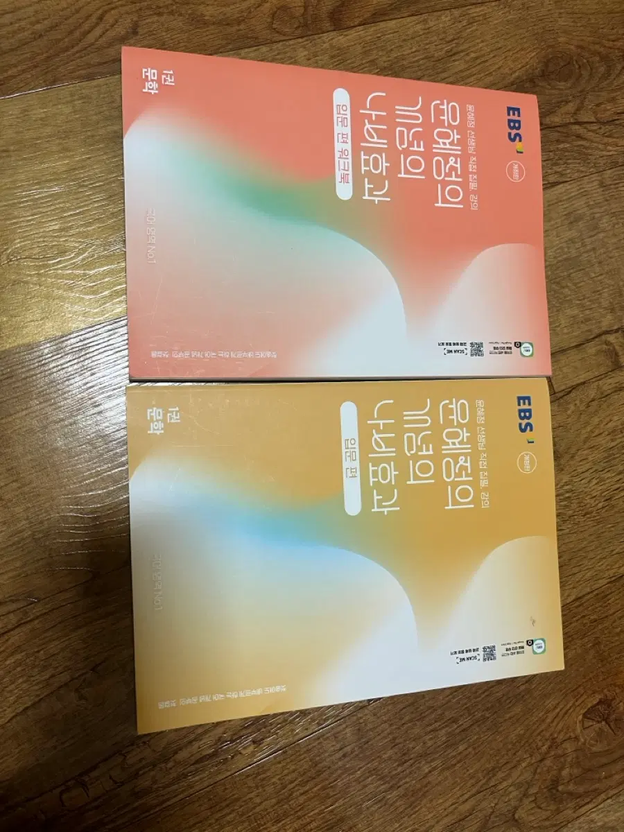 윤혜정의 나비효과 입문편