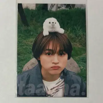 원인은 자신에게 있다. 겐지부 오쿠라 타카토 트레이딩 카드 테트라헤드론 사이타마 소설이라면