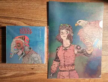 요네즈켄시 STRAY SHEEP CD 아트북 포함 클리어 파일
