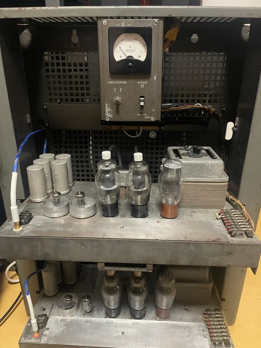 FEDI Western Tube 350 amp