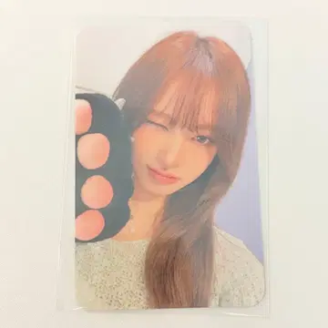IVE 에버랜드 입장 방문 패스 특전 트레이딩 카드 리즈
