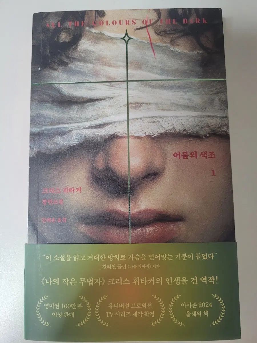 어둠의 색조 1권 팝니다!