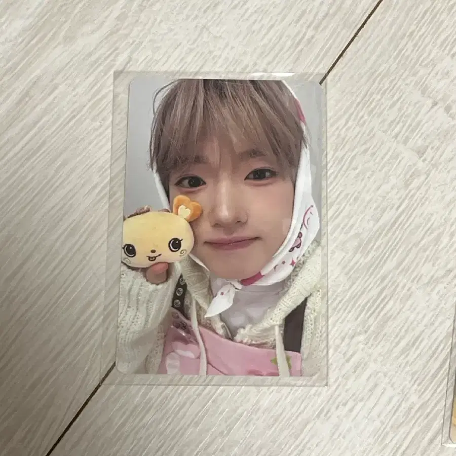 사쿠야 엔시티 위시 베이커리 포카