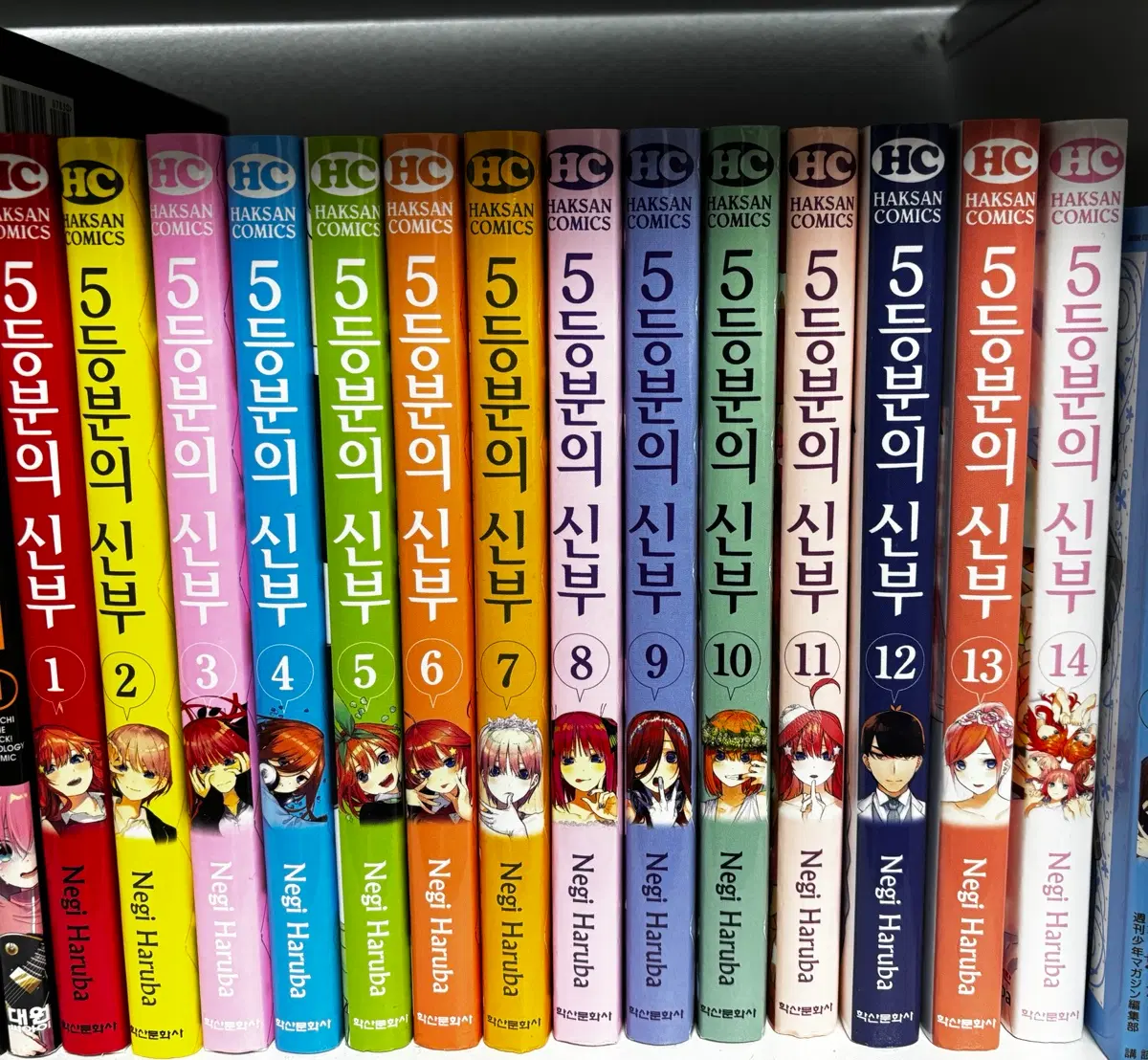 5등분의 신부 전권 1-14권 세트