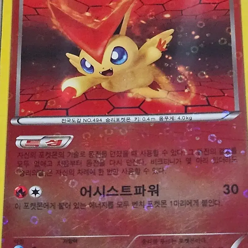 포켓몬카드 비크티니