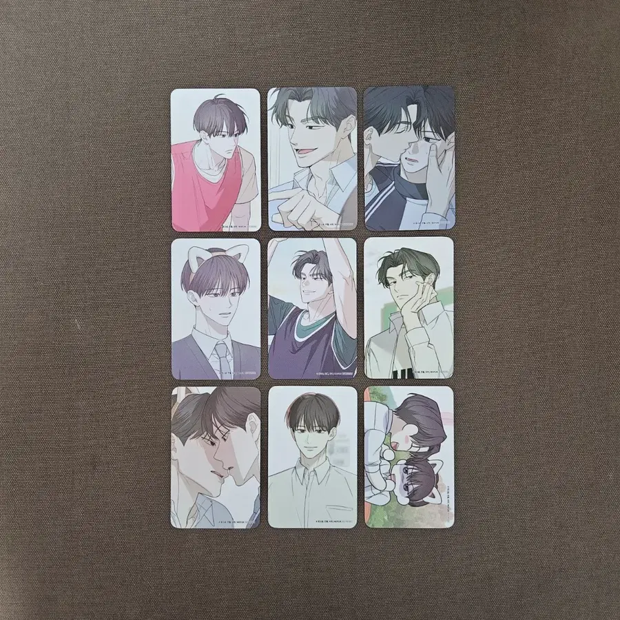 오류탐구영역 모펀 콜라보 카페 방문 특전 포토카드 포카 비엘 BL