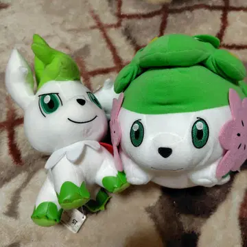 포켓몬 쉐이미 봉제 인형 세트