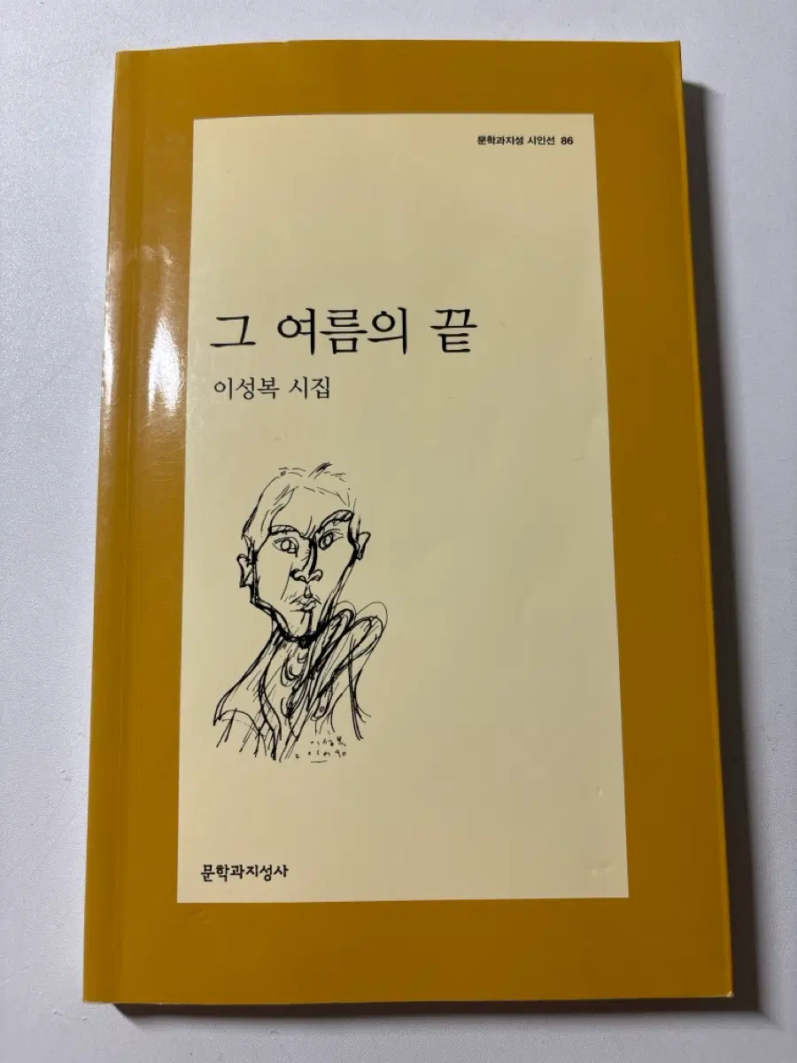 시집,소설 책 도쿄하우스,이성복 시집 그 여름의 끝