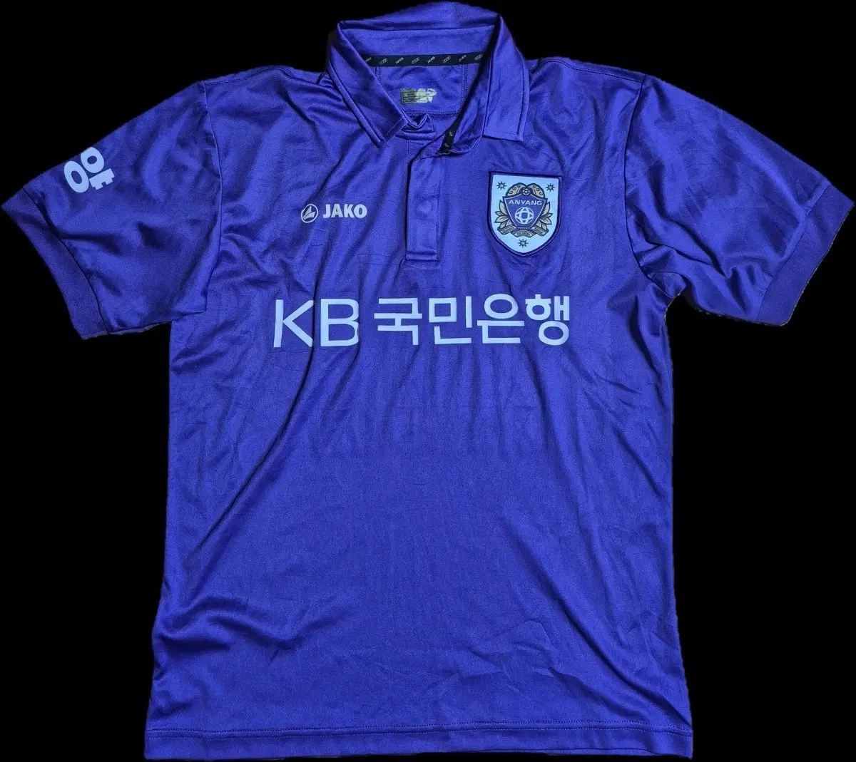 2013 FC안양 홈 창단 시즌 유니폼