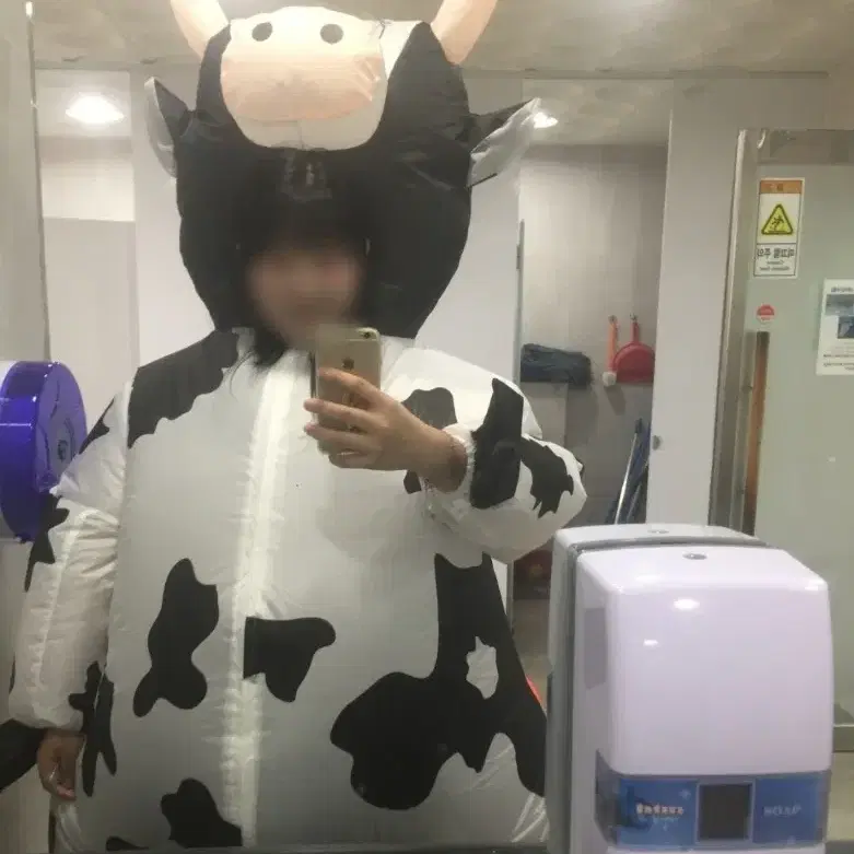 젖소에어슈트 대여