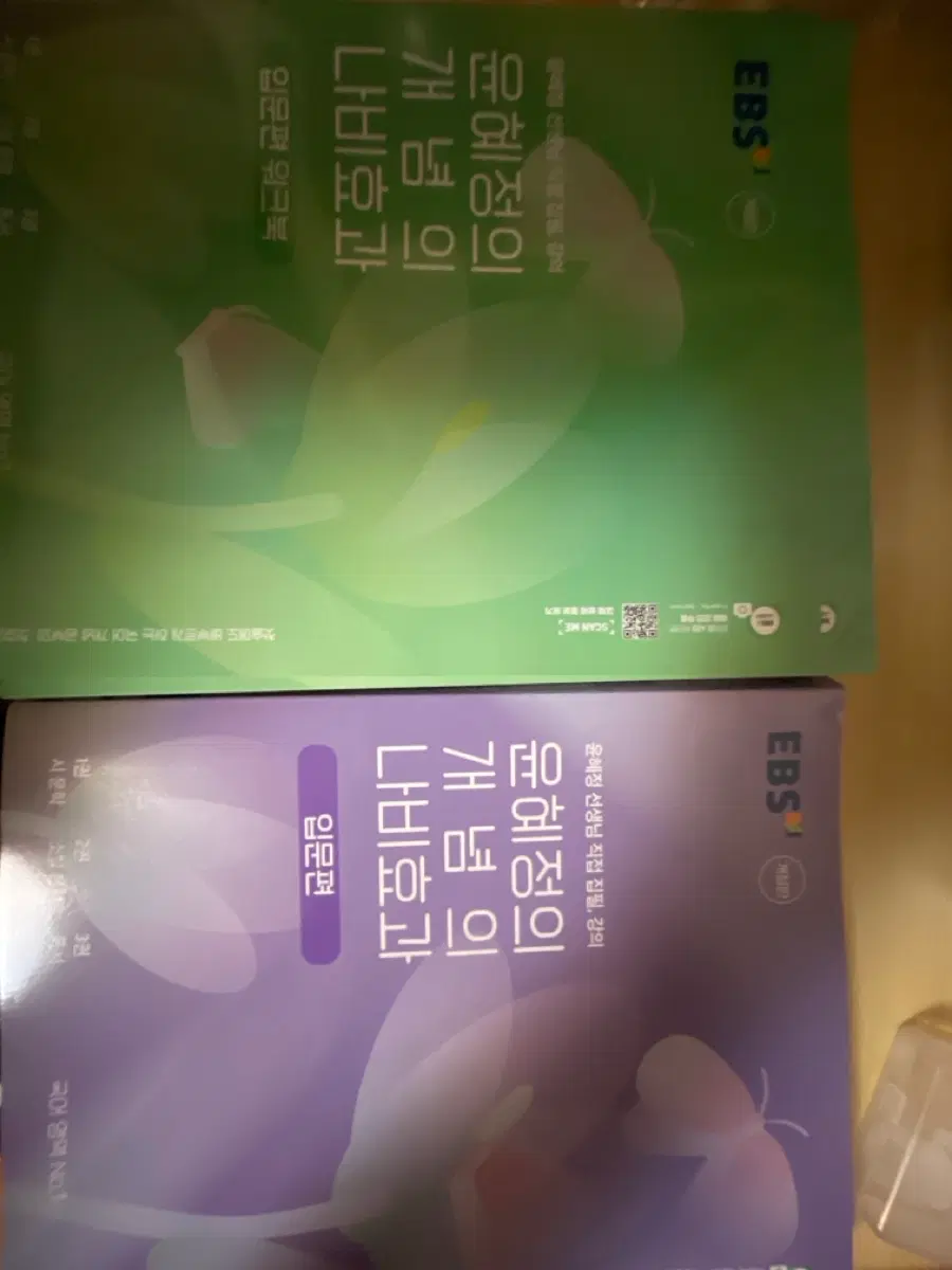 윤혜정의 개념의 나비효과 입문편 개정판