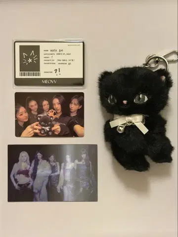 meovv kitty plush 시크릿