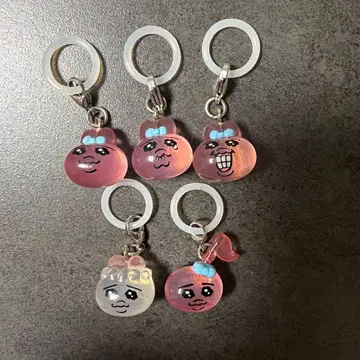 빤쮸토끼 메지루시 액세서리 5종 컴플리트