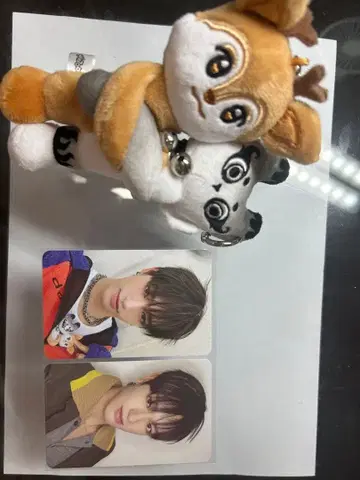 NEXZ 세이디 SEDIEE Mmchk NEXZOO 키링