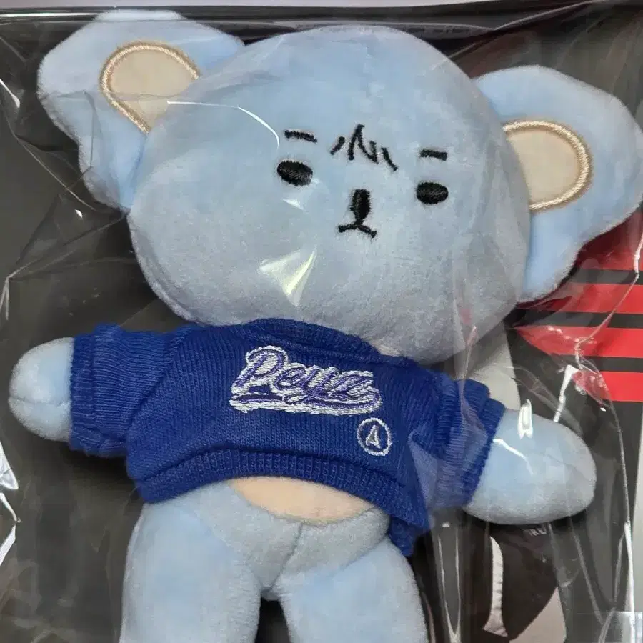 T1 티원 페이즈 온세티 15cm (포카포함)