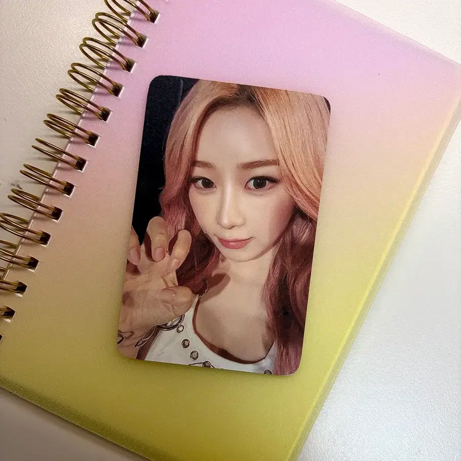 에스파 지젤포카 판매