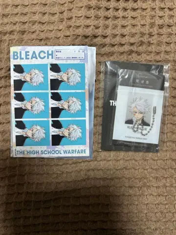 BLEACH 히즈카야 토시로 학생증 증명사진