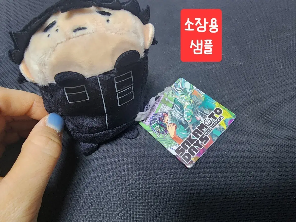 사카모토데이즈 쯔무 나츠키