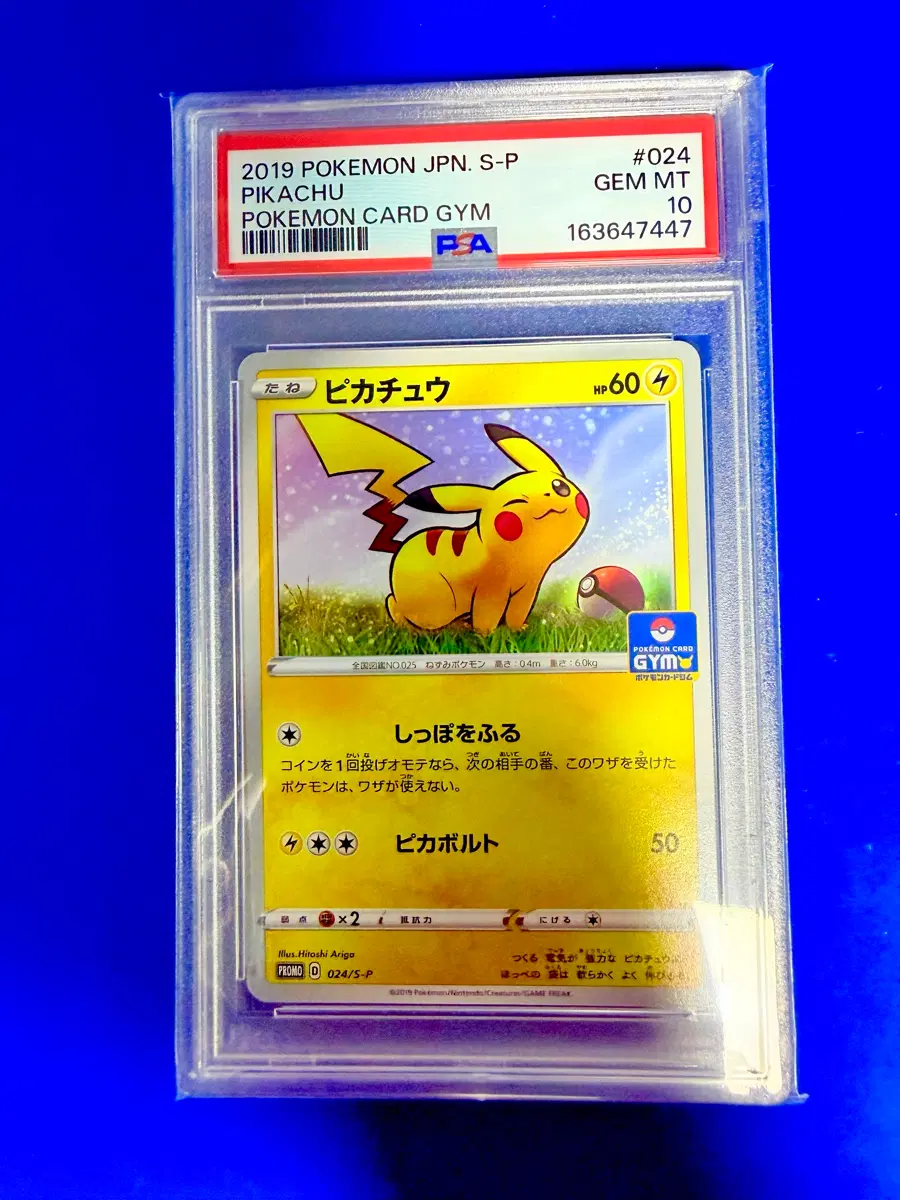 포켓몬카드 2019년 피카츄 짐프로모 프로모 일판 PSA10 카드