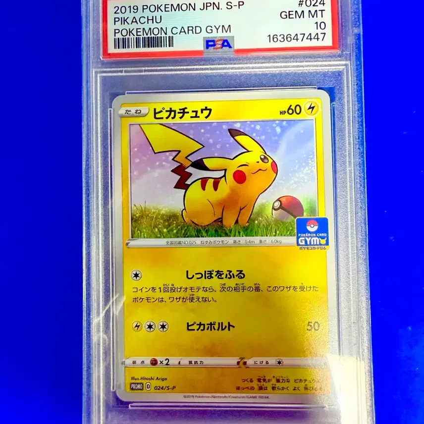 포켓몬카드 2019년 피카츄 짐프로모 프로모 일판 PSA10 카드 사진 1