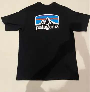 Patagonia T셔츠 블랙