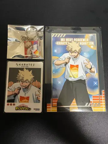 나의 히어로 아카데미아 히로아카 가라오케의 철인 카라테츠 바쿠고