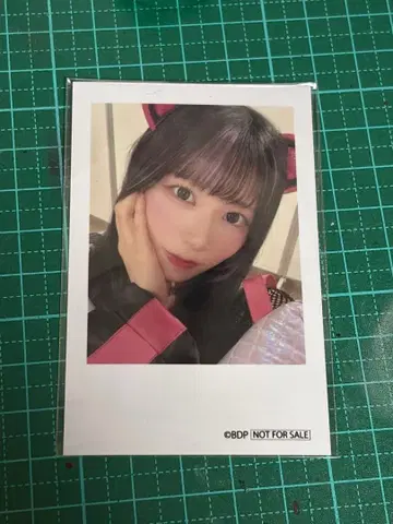 무겐다이 뮤 타입 센고쿠 유노 폴라로이드풍 브로마이드