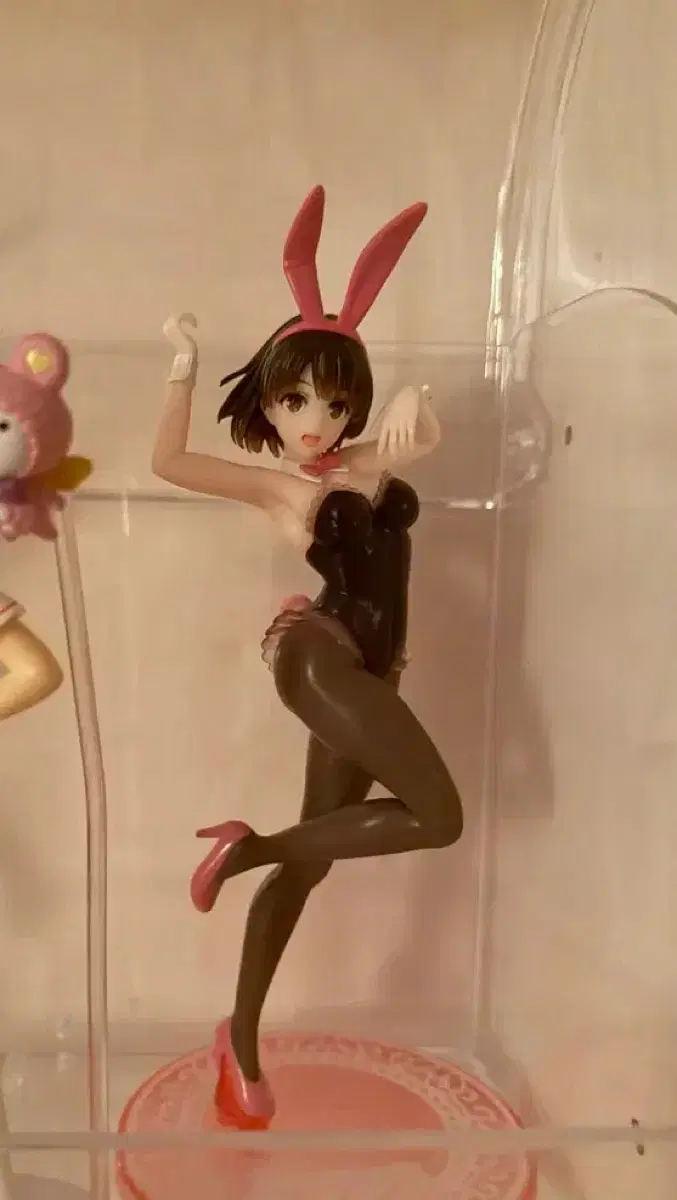타이토 카토 메구미 시원찮은 그녀를 위한 육성방법 바니