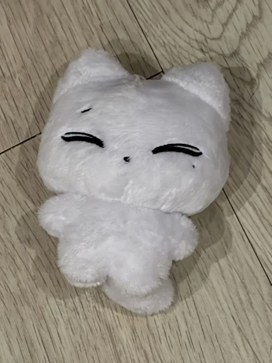 엔하이픈 선우 캣떠니 인형