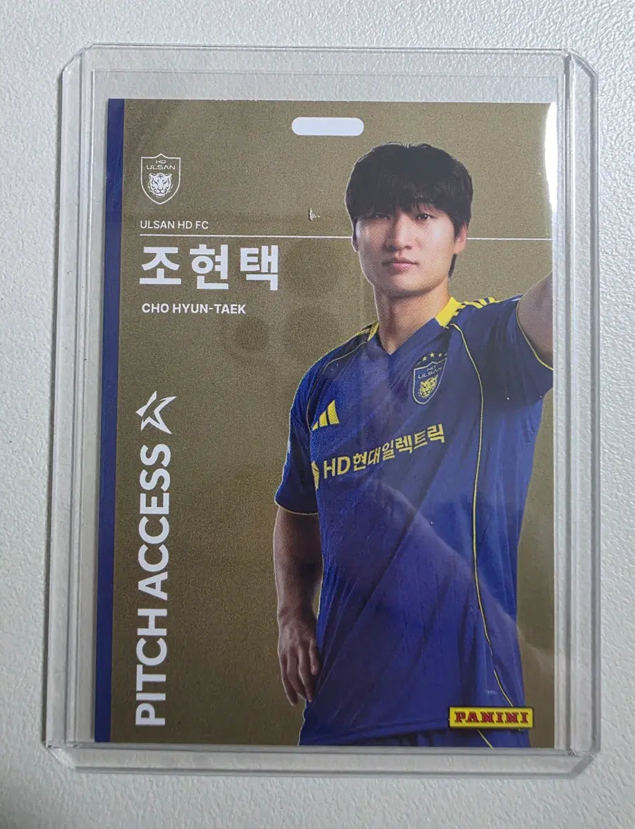레어)2026 k리그 파니니 조현택 Pitch Access 골드 울산HD