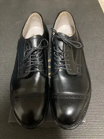 Alden 56214 6D 블랙 코도반 스트레이트 팁