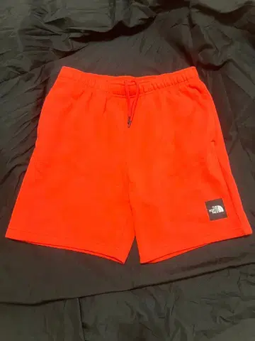THE NORTH FACE 맨투맨 하프 팬츠 M 사이즈 남성용