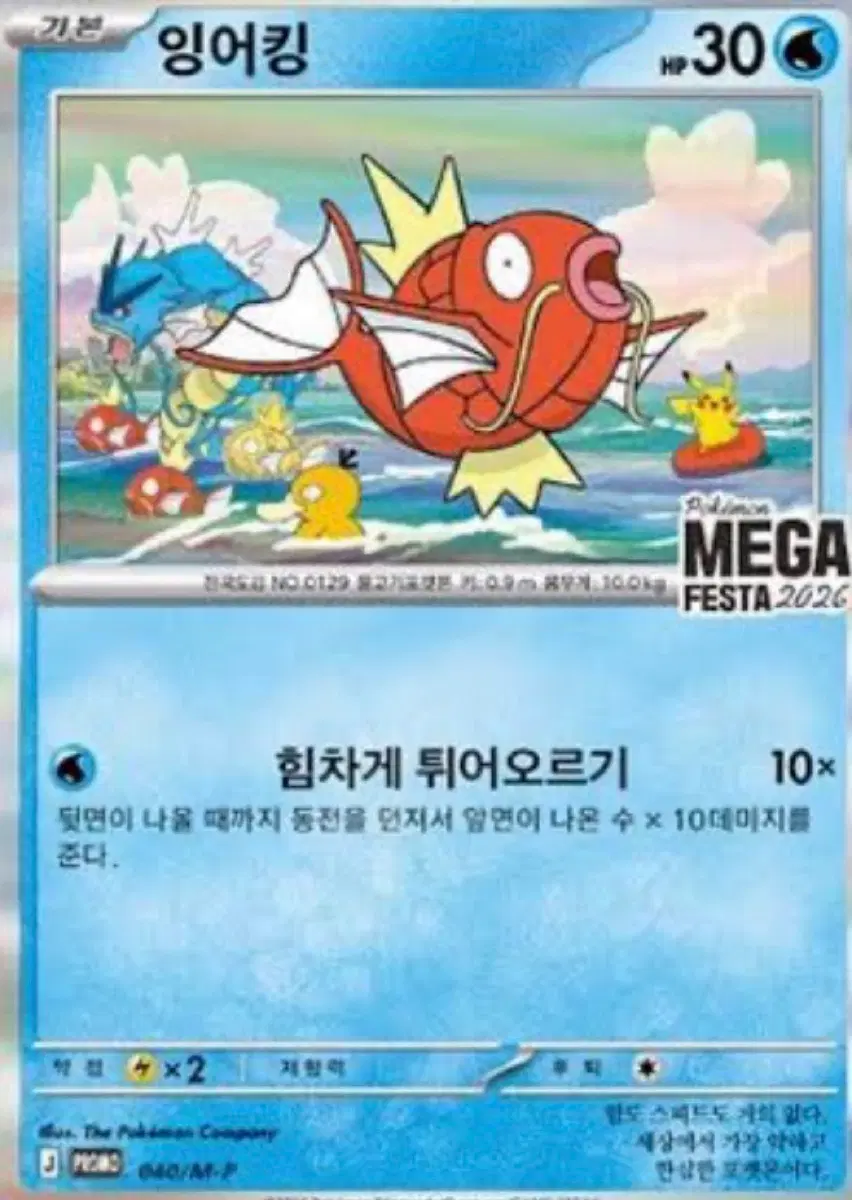포켓몬 카드 잉어킹 MEGA FESTA 2026 미개봉 대량 매입