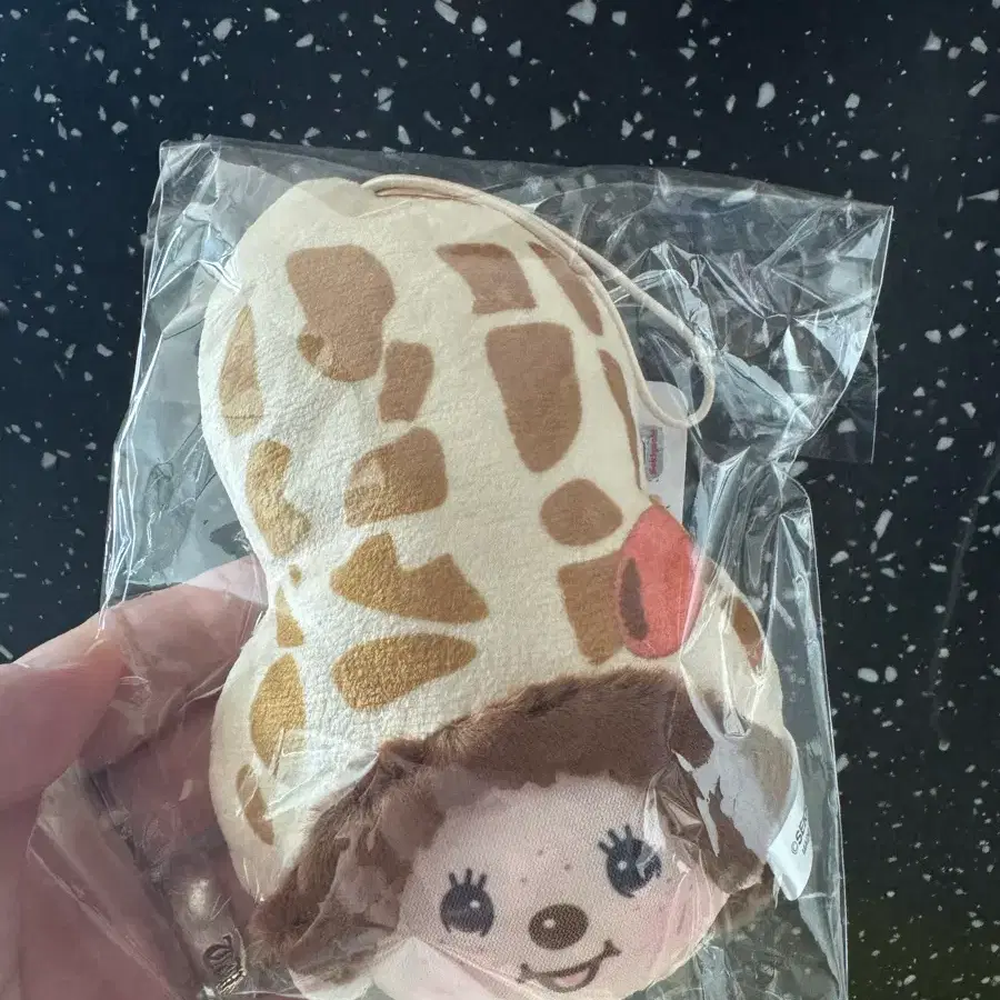 몬치치 일본 지역한정