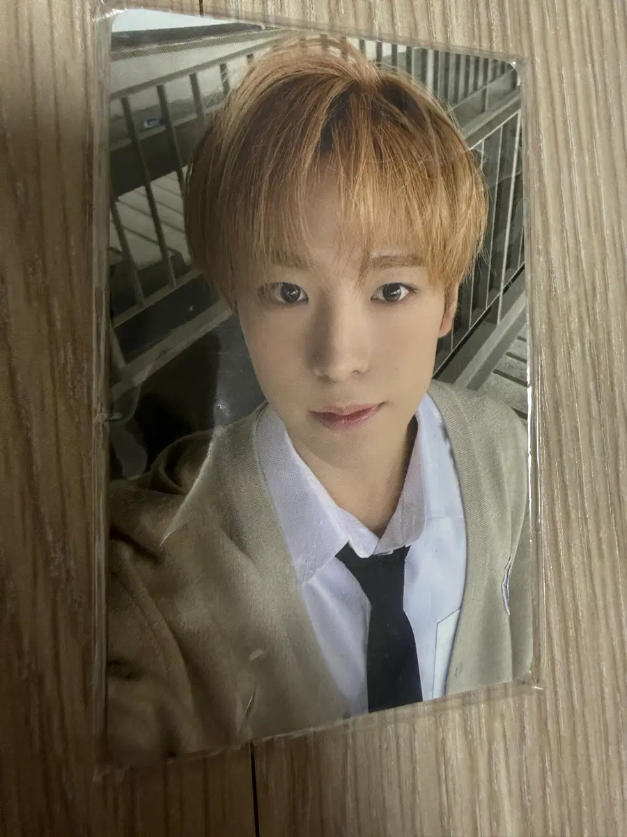NCT WISH 유우시 스오위 포카 엔시티위시