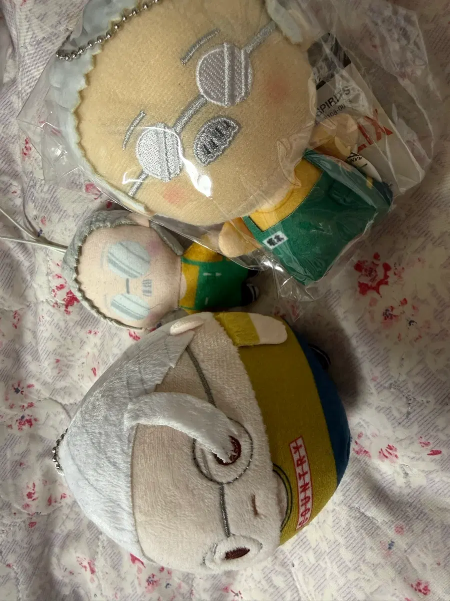 사카모토데이즈 사카모토 타로 누이 일괄 양도합니다