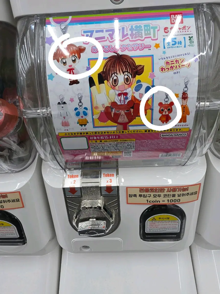 2일괄) 두근두근 비밀친구 메지루시