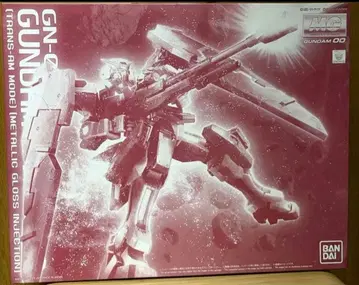 MG 1/100 건담 듀나메스 (트랜잠 모드) 글로스 인젝션