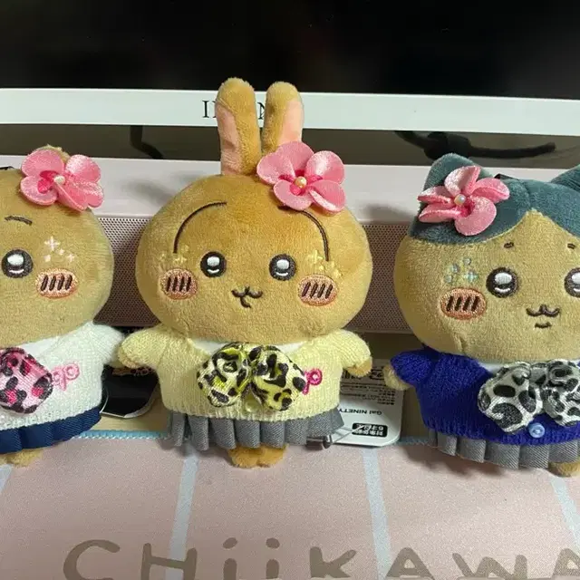 9090갸루치이카와 모몽가