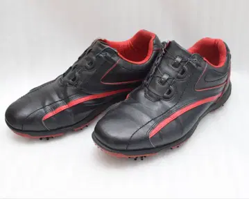 FJ FootJoy 풋조이 BOA 보아 EXL 골프 신발