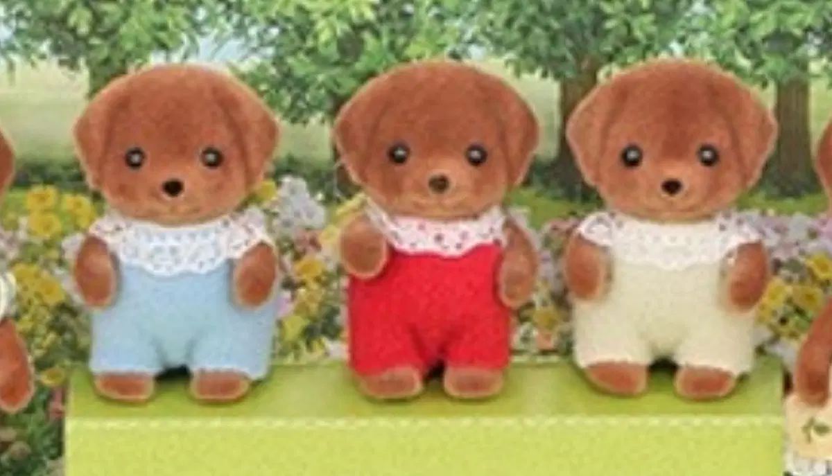 구해요) 실바니안 초코 초콜릿 리트리버 직립 아기 삽니다