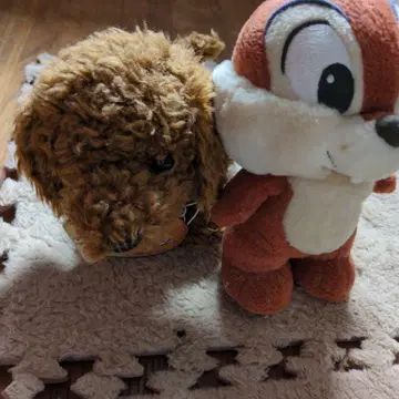 칩과 데일 봉제 인형 2세트