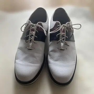 FootJoy PREMIER SERIES 골프화