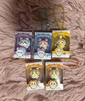 치이카와 초코 박스 묶음 판매