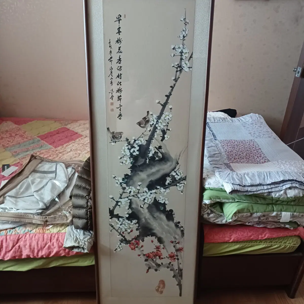 매조도