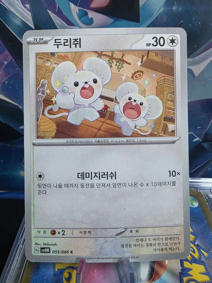 포켓몬 카드 두리쥐 055/066